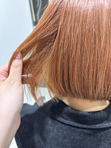 シャーベットオレンジ - crop-es茅ヶ崎掲載