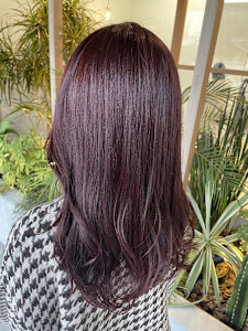 ヴィラロドラカシスピンク - 半個室 rire hair 箱崎店掲載