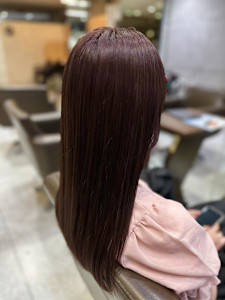 カシスバイオレット