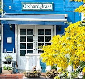 Orchardgrass(オーチャードグラス)