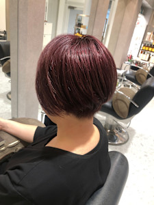 ショートヘアー