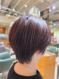 tiptop保谷店×すっきりショート - tip・top 保谷店掲載