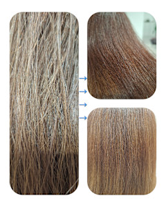 トリートメントエステ♪カシミヤ髪質改善トリートメント - Hair & Spa y‐Forme Ginza掲載