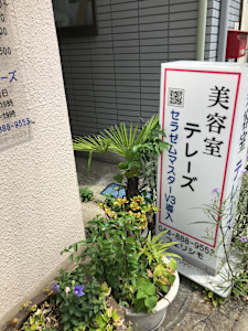 美容室 テレーズ(ビヨウシツテレーズ)