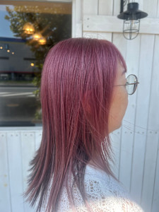 さくらピンク - Terra掲載