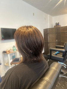 レイヤーボブ - Terra掲載