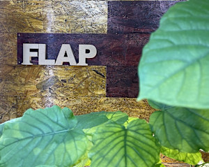FLAP(フラップ)