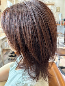 ウルフ - concierge 泉区将監殿店掲載