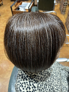 【さすだ】地毛を最大限活かす白髪ぼかしカラー - tip・top町田店掲載