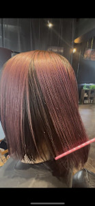 アンブレラカラー - URBAN掲載