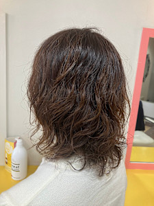 マッシュローレイヤーウルフ