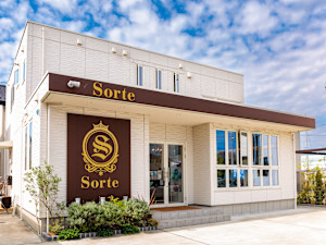 Sorte(ソルテ)
