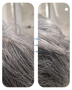 話題のトキカタ♪頭頂部編