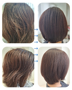 トリートメントエステ♪ファルジュア髪質改善トリートメント - Hair & Spa y‐Forme Ginza掲載