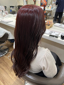 ブリーチなしダブルカラー/ワインレッド