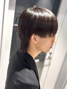 マッシュウルフ - popls掲載