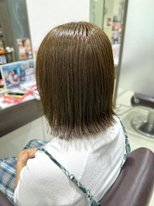 オリーブブラウン - crop-es茅ヶ崎掲載