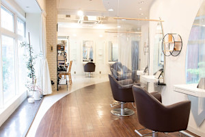 VISAGE e-del【ヴィサージュ エーデル】(ヴィサージュ エーデル)