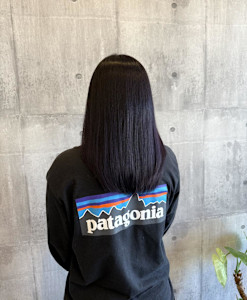 ラベンダー - ARCH掲載