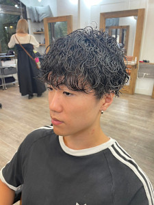 メンズカットハイライトマッシュパーマウルフアッシュブラック - N°Elune 秋田店掲載