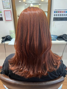 cloud hair 東照宮店×オレンジカラー - cloud hair 東照宮店掲載