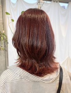 ピンクオレンジ　ツヤ感ミディアム