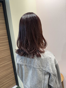 ボルドーカラー/ブリーチなし