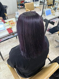 ラベンダーカラー