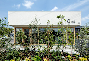 Ciel hairs beau group(シエル ヘアーズ ボウ グループ)