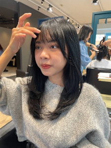 ミディアムレイヤー