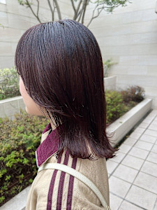 ダークオレンジ　ボルドーブラウン　暖色系デザイン