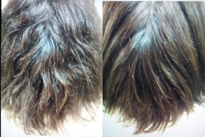 Beauty Science BOOZ×スタイル