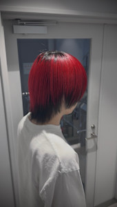 メンズウルフ/マッシュウルフウルフカット/デザインカラー