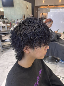 メンズウルフ/ダブルカラー／裾カラー／ハイライト／メッシュ