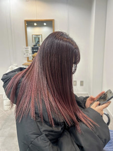 【SHIANすずか】ワインレッド - SHIAN 八王子店掲載