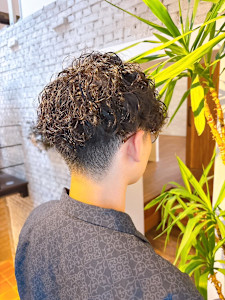 ルシードスタイル PLUS丹波橋店×スタイル