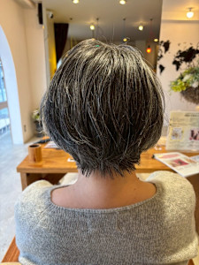 PLUS 六地蔵店×スタイル