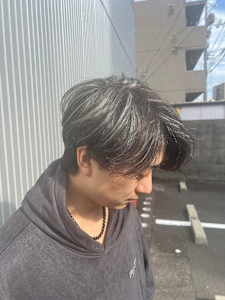 シルバーメッシュ