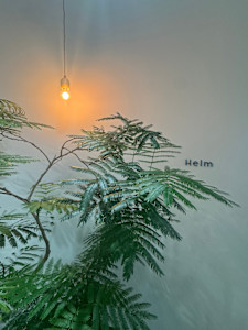 Helm【ヘルム】(ヘルム)