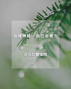 【自律神経／自己治癒力】ひらた整体院(ジリツシンケイ　ジコチユリョク　ヒラタセイタイイン)