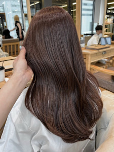 ブリーチなし赤みブラウンチョコレートブラウンレッドブラウン - Violet掲載