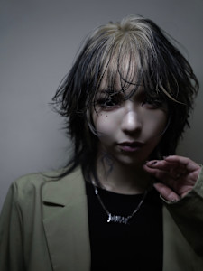 デザインカラーウルフ