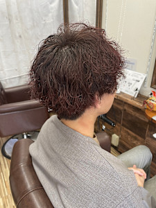 サロンヘアー・プラス×スタイル