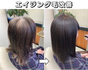 髪と頭皮のエイジング対策＊エアーストレート＆ザクロペインター