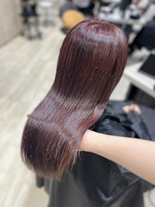 Mako カシスラベンダー ピンク ブリーチなし 銀座