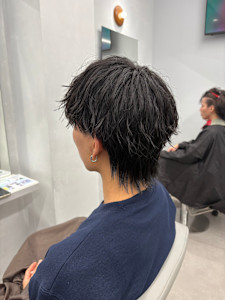 マッシュウルフ - popls掲載