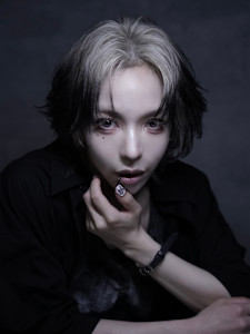 デザインカラーウルフ - syn掲載