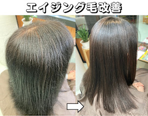 ツヤ実感！頭皮ケアもできる白髪染め「輝髪ザクロペインター」