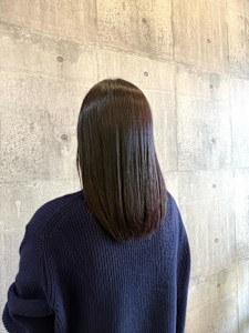 カシスラベンダー - ARCH掲載