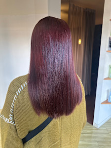 【増田】ピンクバイオレットカラー - PETZ本店掲載